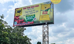 BẢNG PANO QUẢNG CÁO NGOÀI TRỜI - TẠI ĐỒNG XOÀI BÌNH PHƯỚC - QUẢNG CÁO ĐỨC VINH